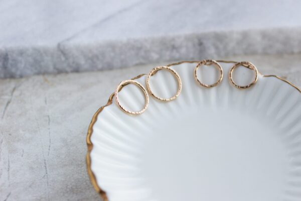Mjöll Circle Earrings