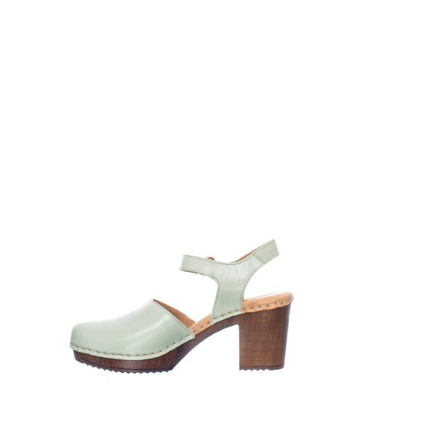 Ten Points Amelia - Image 5
